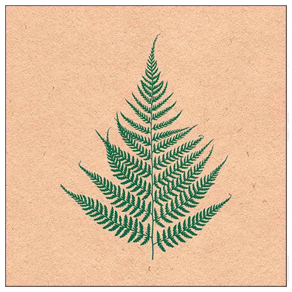 guardanapo-Para-Decoupage-Ambiente-Com-2-Unidades-Fern-Leaf-13315205