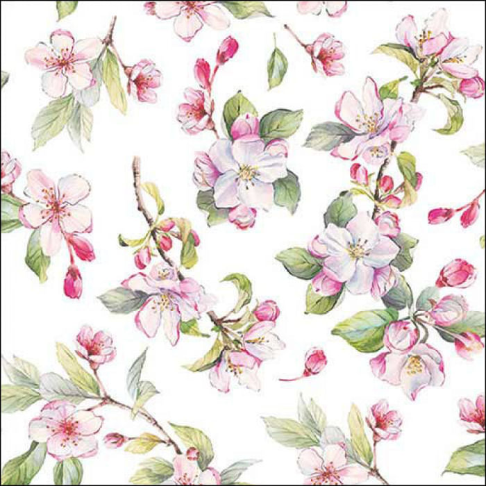 194909-guard--c-20-13318160-spring-blossom-white-71239