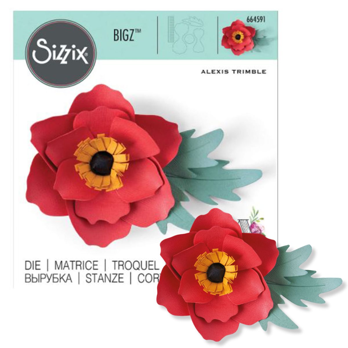 177887-faca-de-corte-664591-anemone-flowers--fl--75538